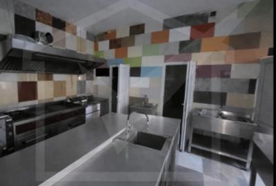 Spatiu comercial alimentatie publica zona Gara - 3