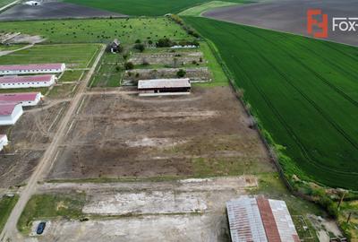 Teren intravilan cu suprafata de 58.340 mp, in Sanmartinul Sarbesc - 9