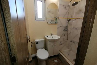 320€, zona 13 Septembrie centrala proprie, pet friendly - 6