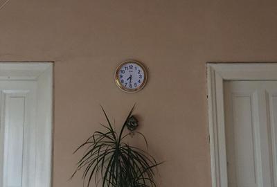 DE VANZARE!  Apartament cu 3 camere in cladire istorica zona ultracetrala! - 4