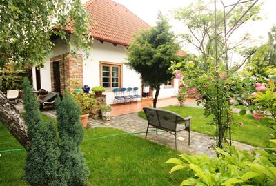 Inchiriere casuta din poveste - 1