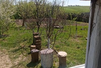 Teren intravillan construcții - 2