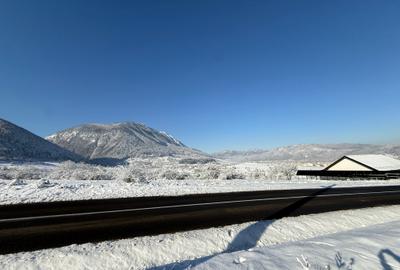 Teren intravilan 500 sau 1000 mp Bran-Tohanita la dum asfaltat - 13