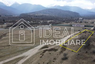 Teren extravilan de vânzare – Cârțișoara | Vedere spre Munții Făgăraș - 1