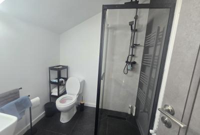 Apartament pe 2 niveluri,et.1+mansarda,3 dormitoare,2 bai,Popas Pacurari: 160956 - 30