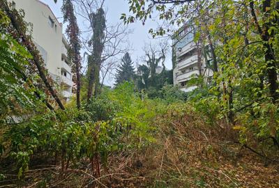 TEREN DE VÂNZARE – DOROBANȚI --- STRADA CARAGEA VODA. - 6