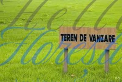 OPORTUNITATE DE INVESTITIE! Teren Intravilan 11.600 mp, Zona Sopor - 1