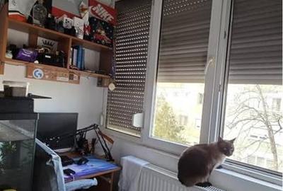 Apartament cu Centrala Sagului Kaufland - 9