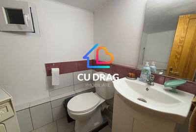 Casa Parcul SUB ARINI cu teren de 950mp - 12