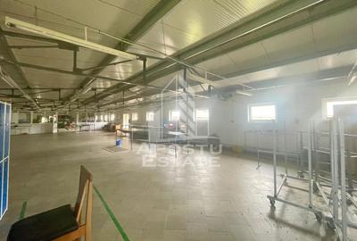 Spatii productie si depozitare, zona Sebis - Prunisor-Carand - 12