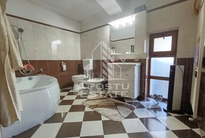Casa Individuala impresionanta, curte bine amenajata, zona Semicentral - 15