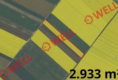 9 terenuri agricole de vânzare pe teritoriul administrativ al comunei Chichiș! - 4