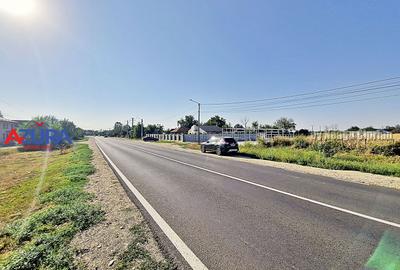 AZURA Imobiliare - Teren la DN7 langa Gaesti, Crangurile - Badulesti - 33