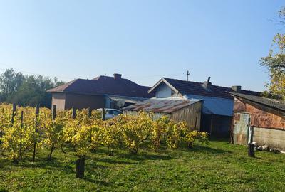 Anunț Vânzare Proprietate Rurală – sat Bușca, comuna Mihăiești, județul Olt - 2