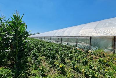 Afacere la cheie! Incasari din prima zi!!! - 1