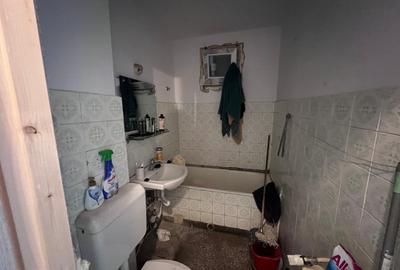 Bulevardul Drumul Taberei(BUCLA)- Parc Moghioros - 11