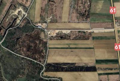 DJ200  Stefanesti de Jos / Dascalu    - Targoviste Gaesti  Vanzare  Teren - 15