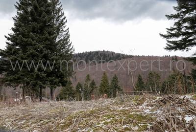 Busteni – Kalinderu, Teren Cu Vedere Senzationala Spre Muntii Bucegi! - 2
