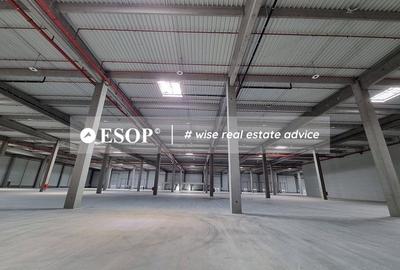 Constanta Business Park, hale Industriale, 7.000-30.000mp,  0%comision - 3