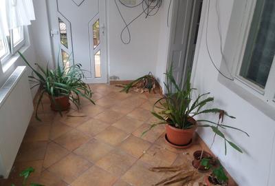 OCAZIE UNICA! Casa individuala cu 2108 mp teren,  in Dambul Rotund - 10