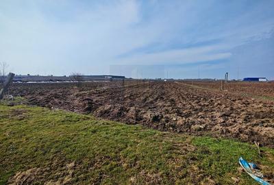 Teren de Vanzare Industrial Caciulati A3 - 5