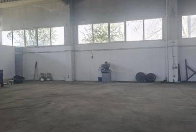 Hala de inchiriat. Depozitare sau productie. - 4