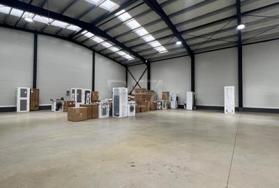 ACTIV LOGISTIC 577 mp – CHIAJNA, STR. INDUSTRIILOR - 5
