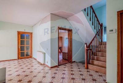 Vila rezidential/  gradina de vis/sera/ panouri/ Sanpetru! - 8