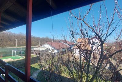 Gradistea  vila individuala - Locul perfect pentru iubitorii de natura ! - 29