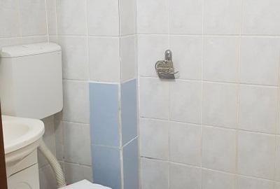 Apartament cu trei camere, decomandat, semimobilat, la parter, Bistrita Lac - 17