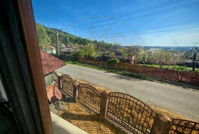 Casa + teren 3233 mp Darmanești Arges - 16