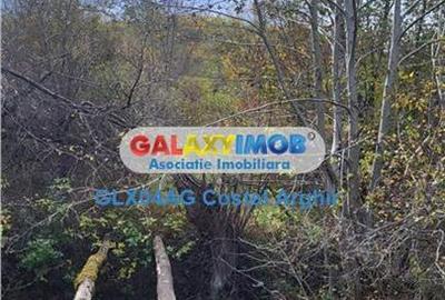 Vindem teren 20000 mp Cheile Rasnoavei - Brasov , pentru case vacanta - 11