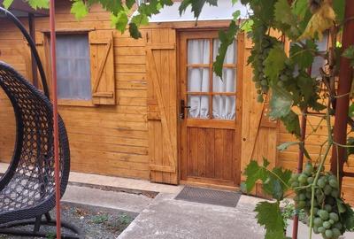 CASA SUPERBA 4 CAMERE ZONA VALU LUI TRAIAN 933MP - 27