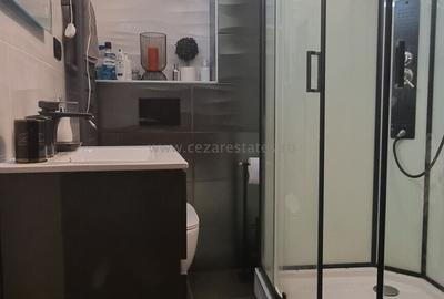 HERASTRAU PENTHOUSE NORDULUI  APARTAMENT 3 CAMERE LUX LINGA PARC - 14