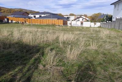 Teren Construcții intravilan de 982 mp, în Cetate