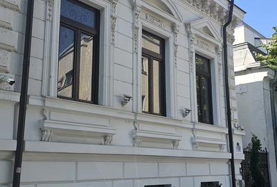 Plantelor, vila d+p+m, cu stil, renovata complet in 2020, curte libera 300 mp, - 4