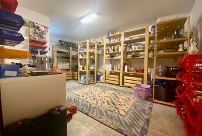 Vila de lux lângă Curtea Domnească – investiție premium Târgoviște, teren 1.700 - 24