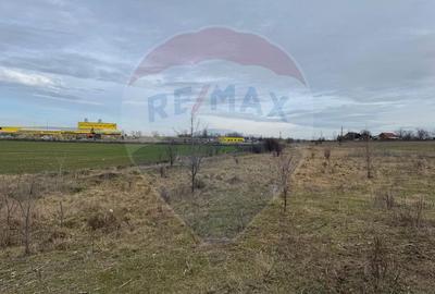 Teren intravilan 13800 mp - Centura de Nord Arad