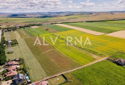 INVESTITIE! Teren constructii 11.600 mp | front 45.7m | Jucu de Sus - 4