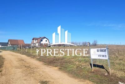 TEREN EXTRAVILAN 873 MP DE VÂNZARE ȘURA MICĂ | POTENȚIAL INTRAVILAN - 10