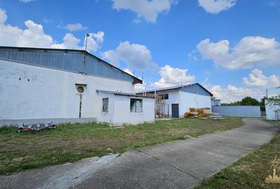 Proprietate industriala renovata | 2 hale de vanzare in zona Seleus - 14