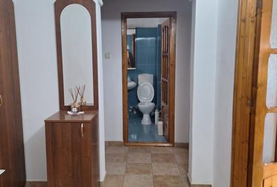 Abator, Sos. Mangaliei, 2 decomandate, 52 mp, mobilat si utilat, gaze, 400 Euro - 10