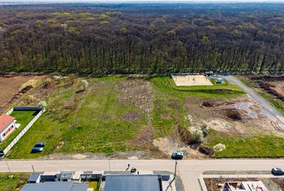 Teren construibil Dumbravita | langa Padurea Verde | Comision 0% - 11