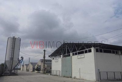 *Fermă modernă pentru export miei | 6 ha | Standarde europene | Aproape de Brăil - 9
