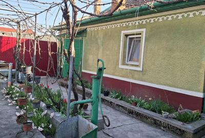 CASĂ MARE în Nădlac cu teren generos 2095mp - 15