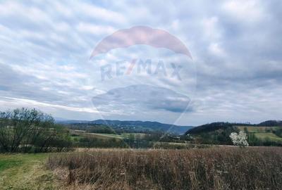 Teren cu panorama superba în Berchezoaia + bonus rulota - 1