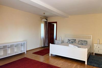 Apartament 3 Camere Vila Baneasa - 12