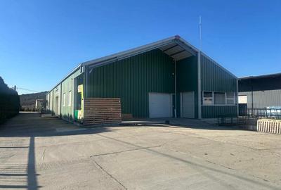 Vanzare hala industriala - 4