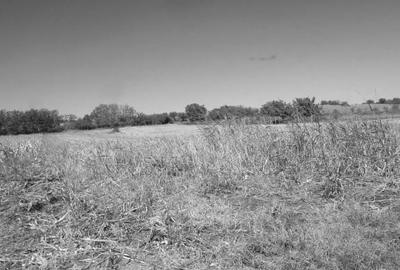 Teren 2500 mp comuna Daia, judetul Giurgiu - 1