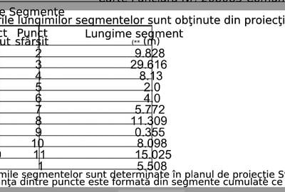 Damaroaia Bucureștii Noi - 11